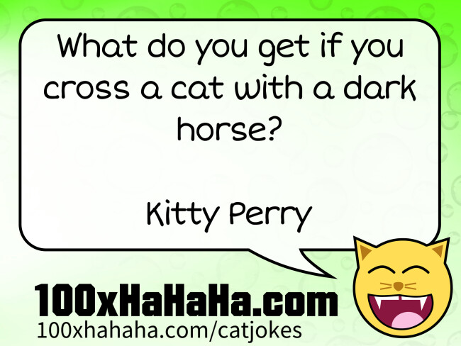 What do you get if you cross a cat with a dark horse? / / Kitty Perry