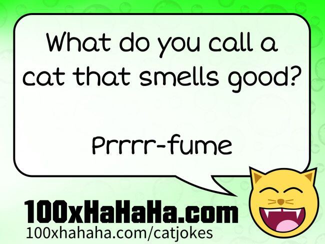 What do you call a cat that smells good? / / Prrrr-fume