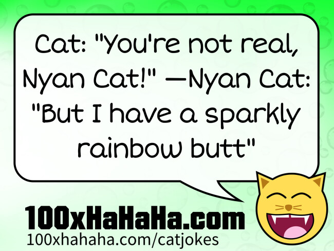 Cat: "You're not real, Nyan Cat!" —Nyan Cat: "But I have a sparkly rainbow butt"