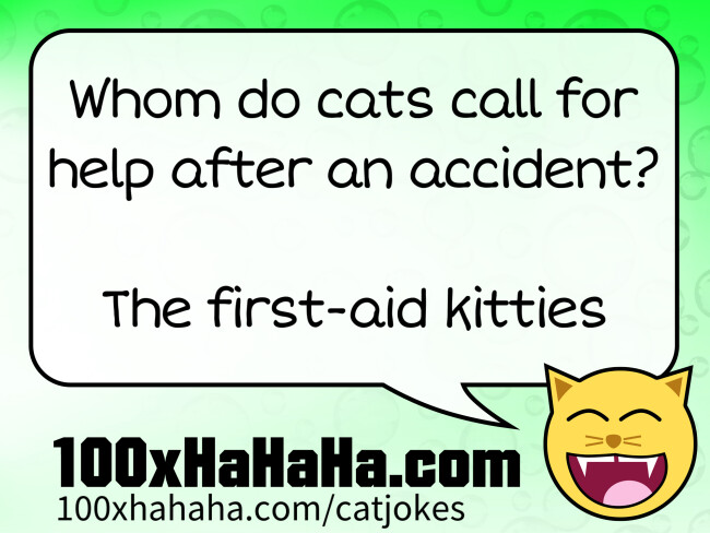 Whom do cats call for help after an accident? / / The first-aid kitties