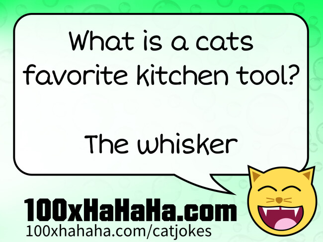 What is a cats favorite kitchen tool? / / The whisker
