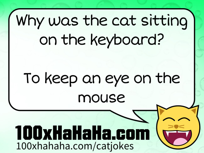 Why was the cat sitting on the keyboard? / / To keep an eye on the mouse