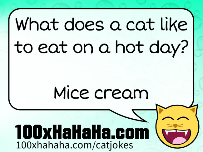 What does a cat like to eat on a hot day? / / Mice cream