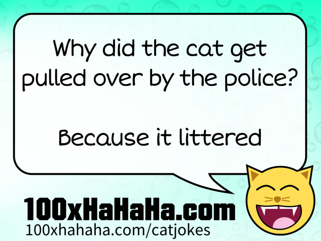 Why did the cat get pulled over by the police? / / Because it littered