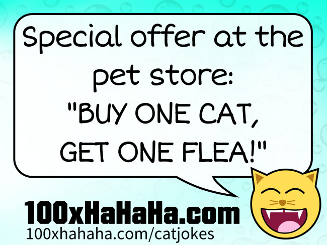 Special offer at the pet store: "BUY ONE CAT, GET ONE FLEA!"