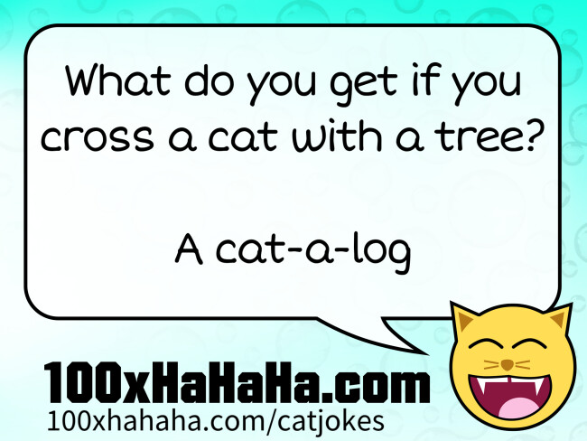 What do you get if you cross a cat with a tree? / / A cat-a-log