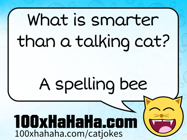What is smarter than a talking cat? / / A spelling bee