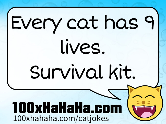 Every cat has 9 lives. Survival kit.