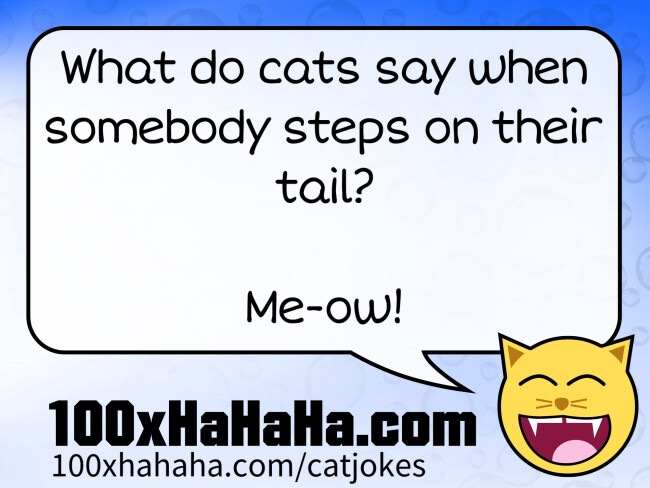 What do cats say when somebody steps on their tail? / / Me-ow!