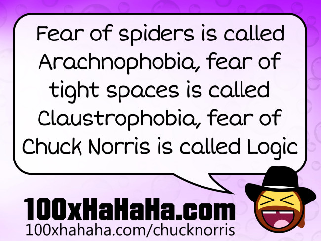 Fear of spiders is called Arachnophobia, fear of tight spaces is called Claustrophobia, fear of Chuck Norris is called Logic
