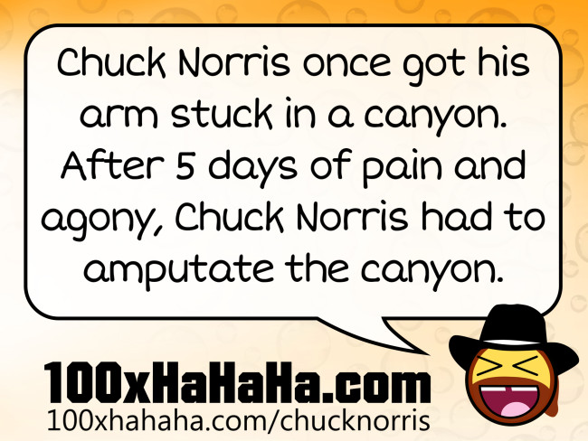 Chuck Norris once got his arm stuck in a canyon. After 5 days of pain and agony, Chuck Norris had to amputate the canyon.