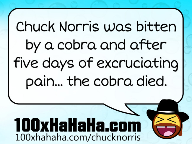 Chuck Norris was bitten by a cobra and after five days of excruciating pain... the cobra died.