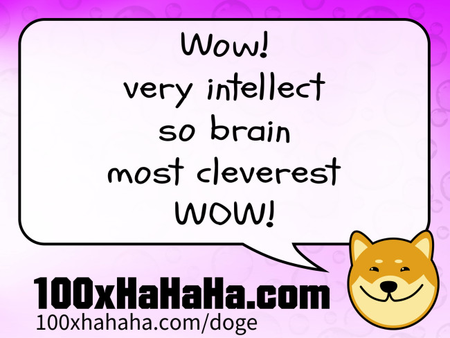 Wow! / very intellect / so brain / most cleverest / WOW!