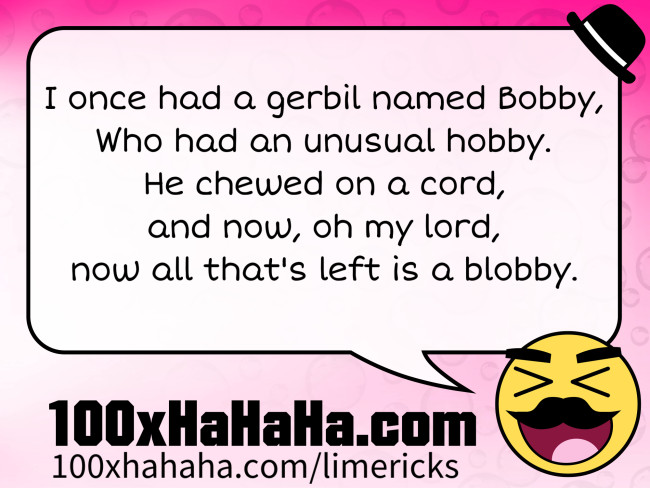 I once had a gerbil named Bobby, / Who had an unusual hobby. / He chewed on a cord, / and now, oh my lord, / now all that's left is a blobby.