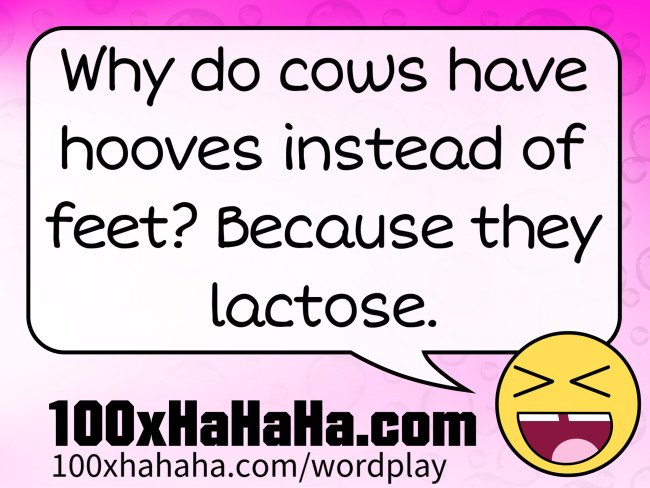 Why do cows have hooves instead of feet? Because they lactose.