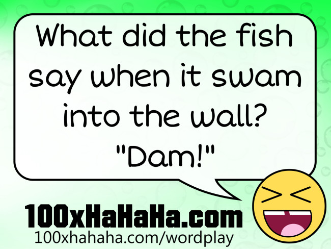 What did the fish say when it swam into the wall? "Dam!"