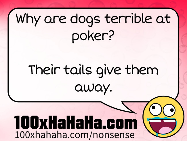Why are dogs terrible at poker? / / Their tails give them away.