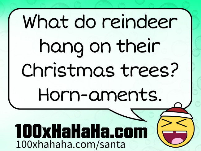 What do reindeer hang on their Christmas trees? Horn-aments.