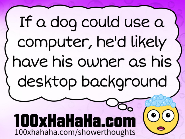 If a dog could use a computer, he'd likely have his owner as his desktop background