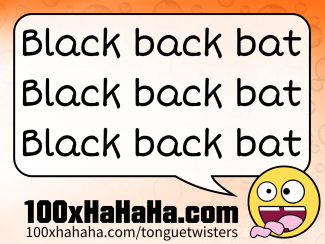 Black back bat / Black back bat / Black back bat
