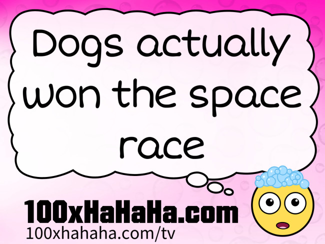 Dogs actually won the space race