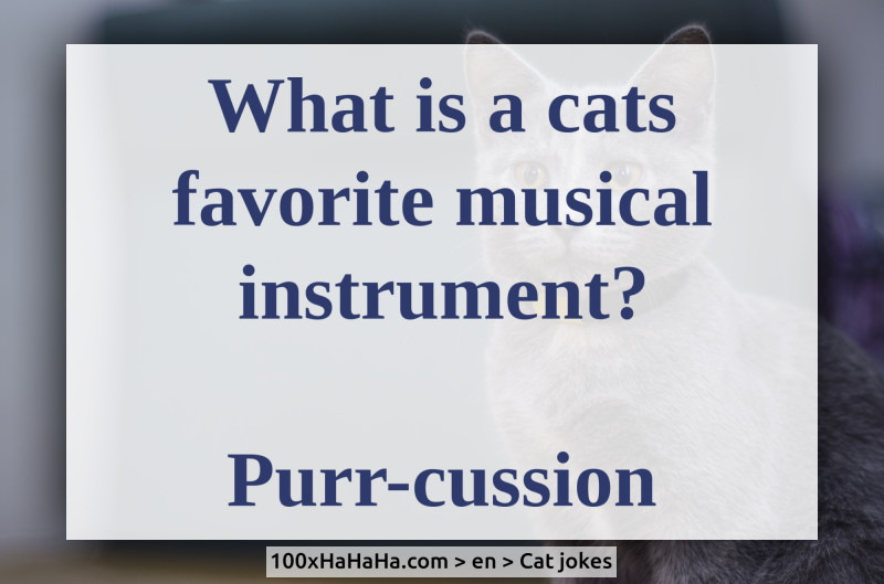 What is a cats favorite musical instrument? / / Purr-cussion