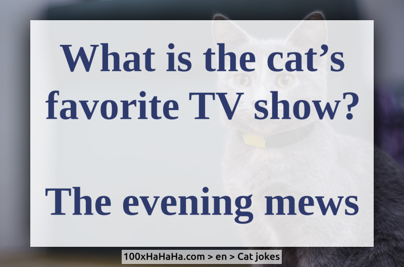 What is the cat's favorite TV show? / / The evening mews
