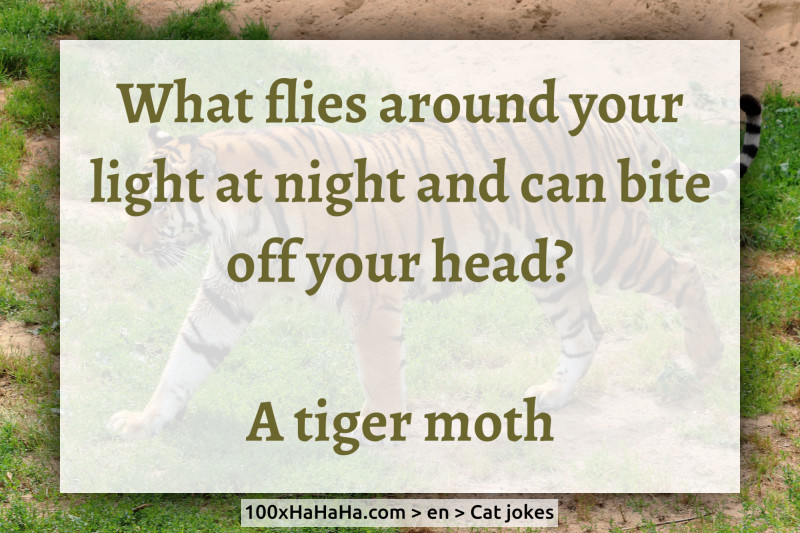 What flies around your light at night and can bite off your head? / / A tiger moth