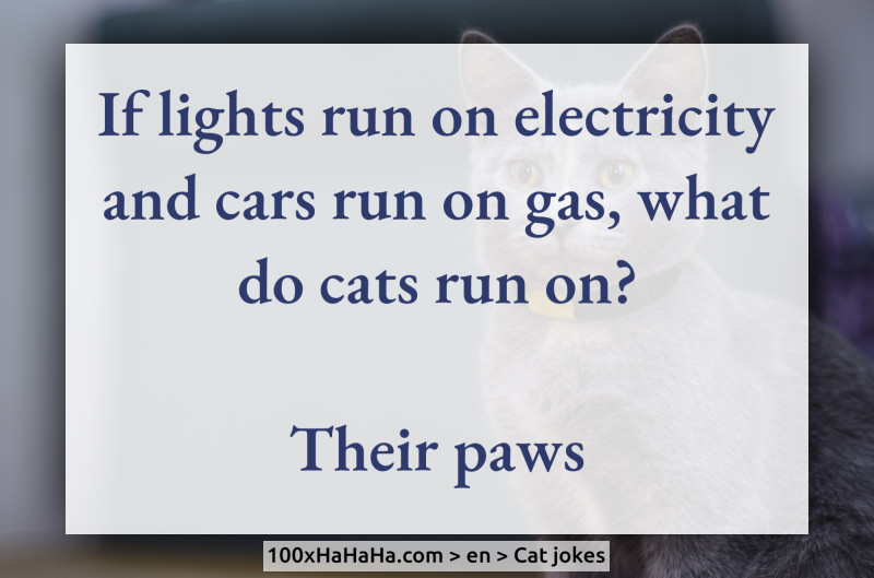 If lights run on electricity and cars run on gas, what do cats run on? / / Their paws