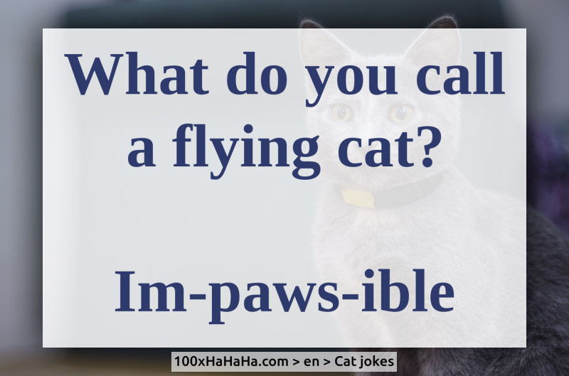 What do you call a flying cat? / / Im-paws-ible