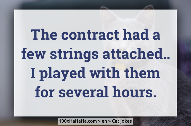 The contract had a few strings attached.. I played with them for several hours.