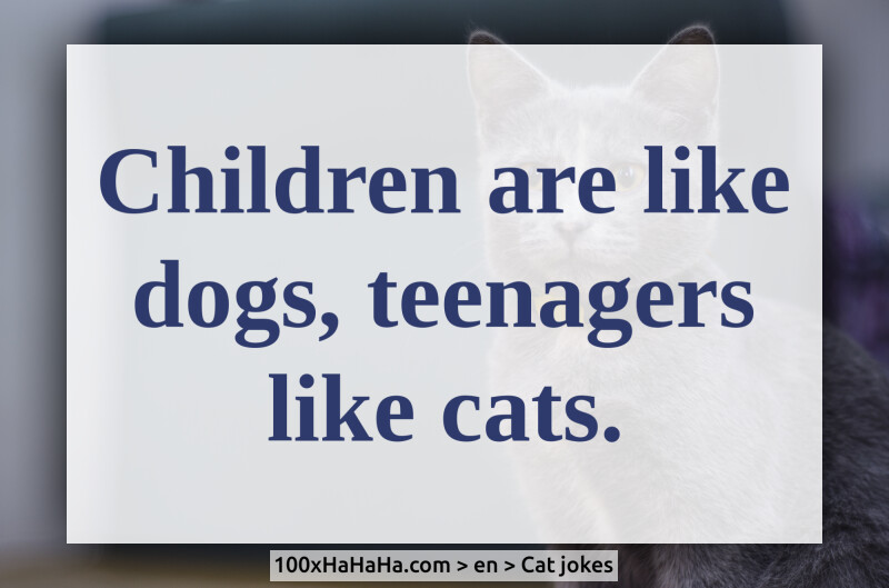 Children are like dogs, teenagers like cats.