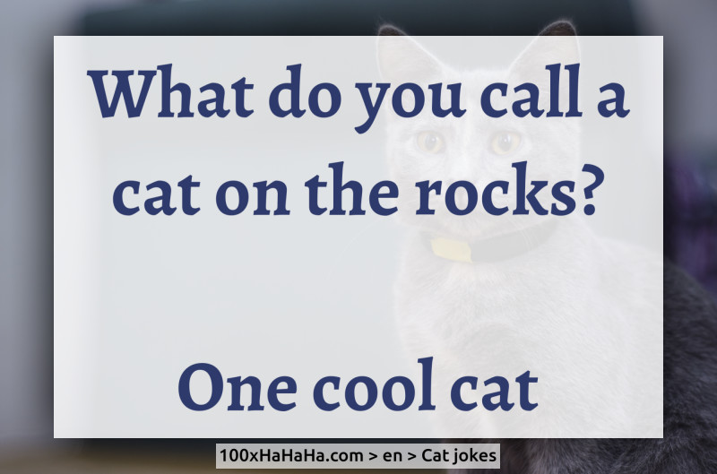 What do you call a cat on the rocks? / / One cool cat