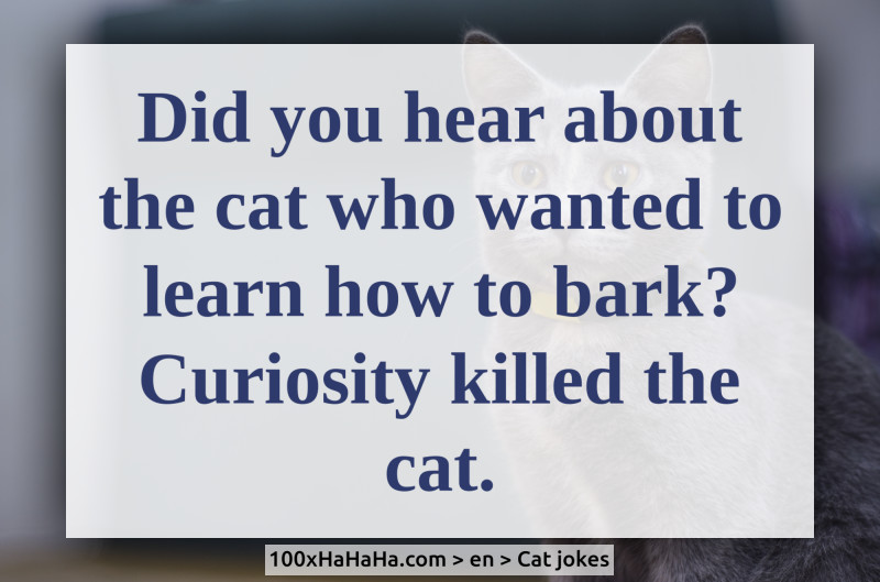 Did you hear about the cat who wanted to learn how to bark? Curiosity killed the cat.