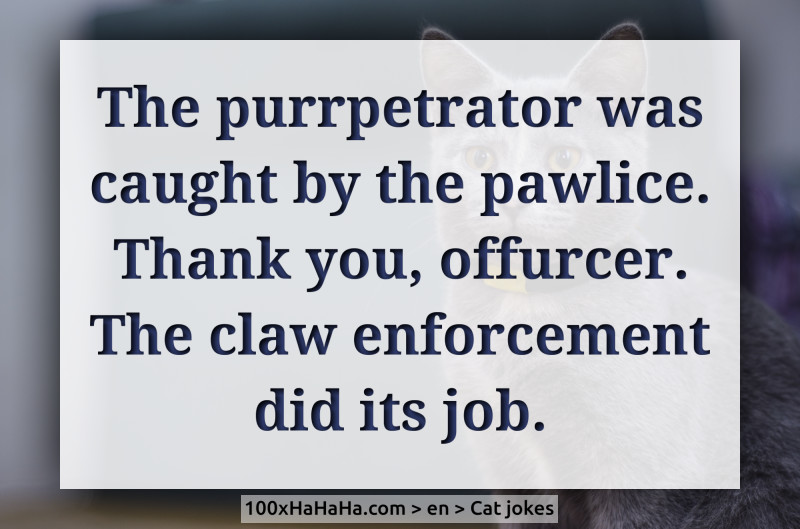 The purrpetrator was caught by the pawlice. Thank you, offurcer. The claw enforcement did its job.