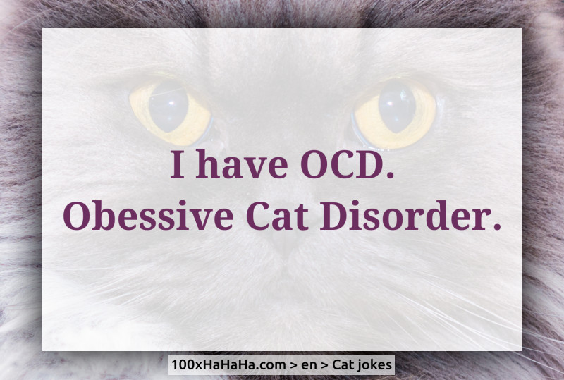 I have OCD. Obessive Cat Disorder.