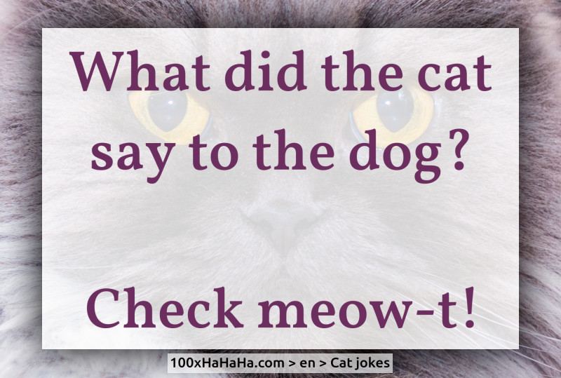 What did the cat say to the dog? / / Check meow-t!