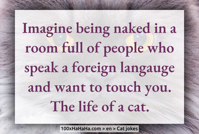 Imagine being naked in a room full of people who speak a foreign langauge and want to touch you. The life of a cat.