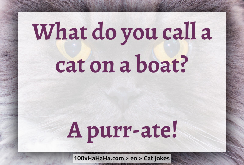 What do you call a cat on a boat? / / A purr-ate!