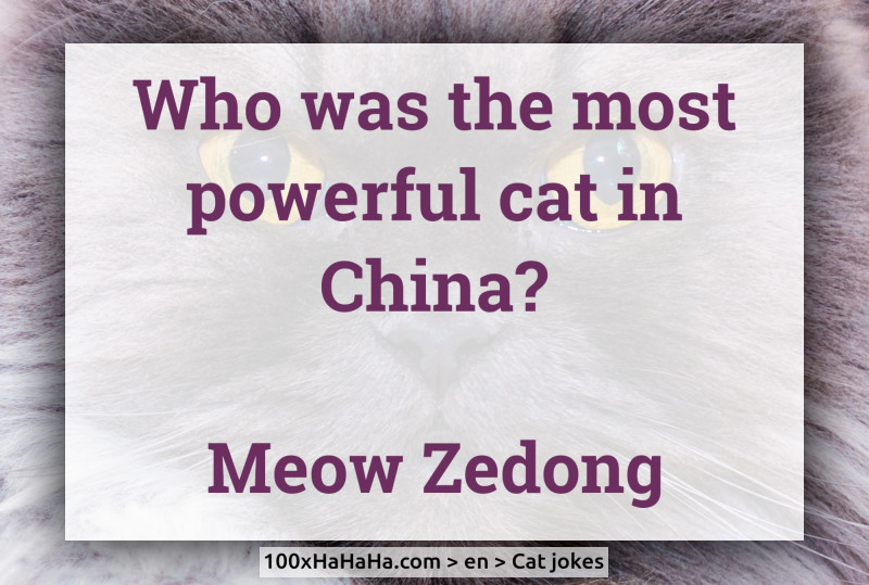 Who was the most powerful cat in China? / / Meow Zedong
