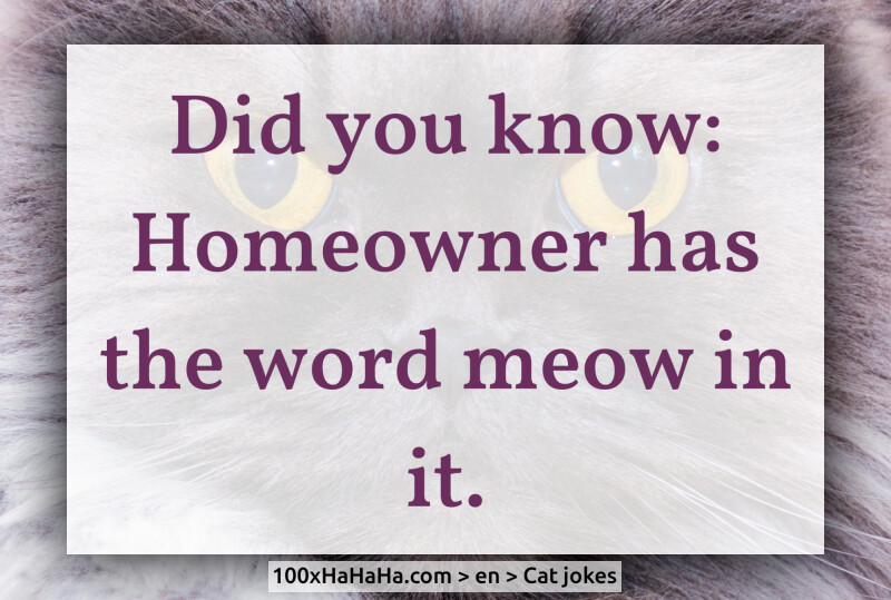 Did you know: Homeowner has the word meow in it.