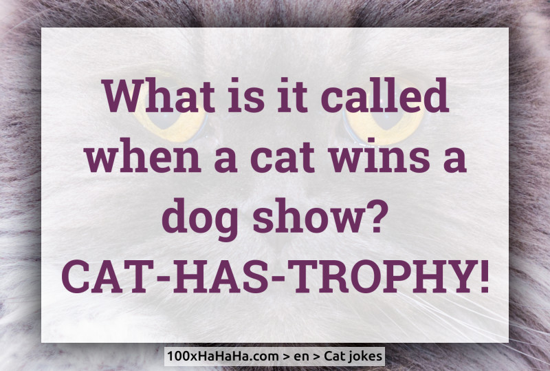 What is it called when a cat wins a dog show? CAT-HAS-TROPHY!