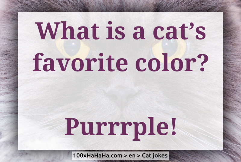 What is a cat's favorite color? / / Purrrple!