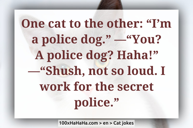 One cat to the other: "I'm a police dog." —"You? A police dog? Haha!" —"Shush, not so loud. I work for the secret police."