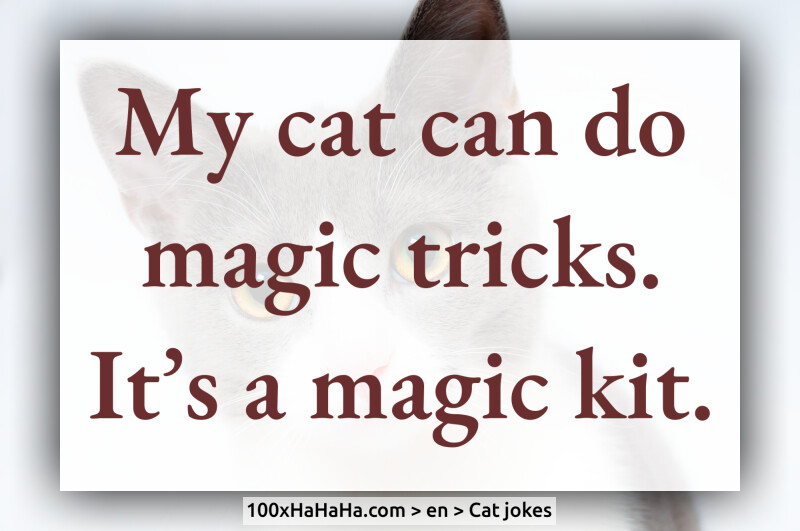 My cat can do magic tricks. It's a magic kit.