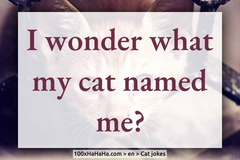 I wonder what my cat named me?