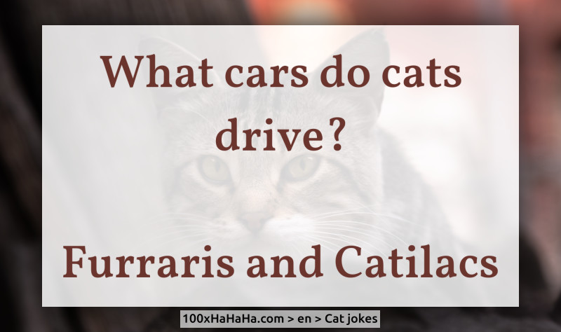 What cars do cats drive? / / Furraris and Catilacs