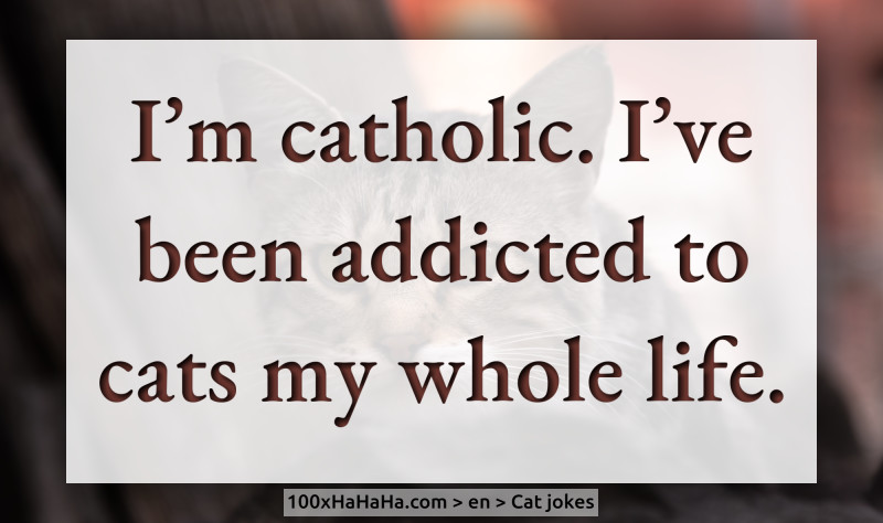 I'm catholic. I've been addicted to cats my whole life.
