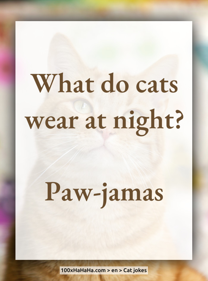 What do cats wear at night? / / Paw-jamas