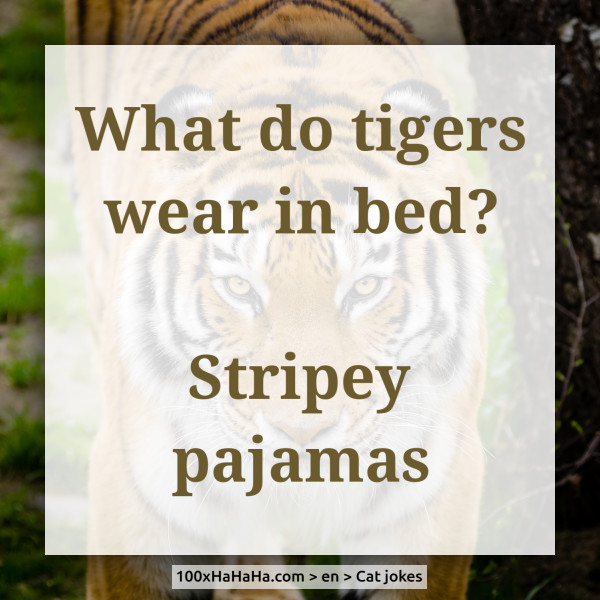What do tigers wear in bed? / / Stripey pajamas